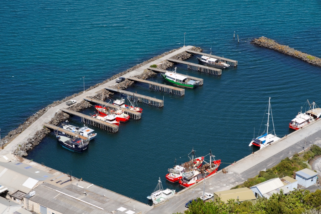 21 - The Nut (3).jpg